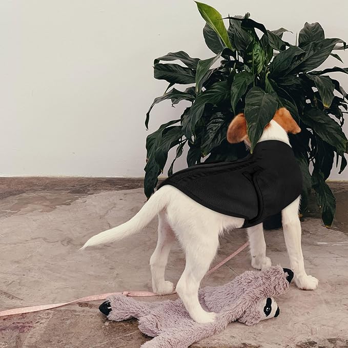 Queenmore XXL Dog Sweaters, Soft Fleece Vest Pullover Pet Jacket with Leash Hole, Warm Winter Dog Clothes Cold Weather Doggy Dachshund Sweater for Large Dogs Cats Boy or Girl (Black, XXL)