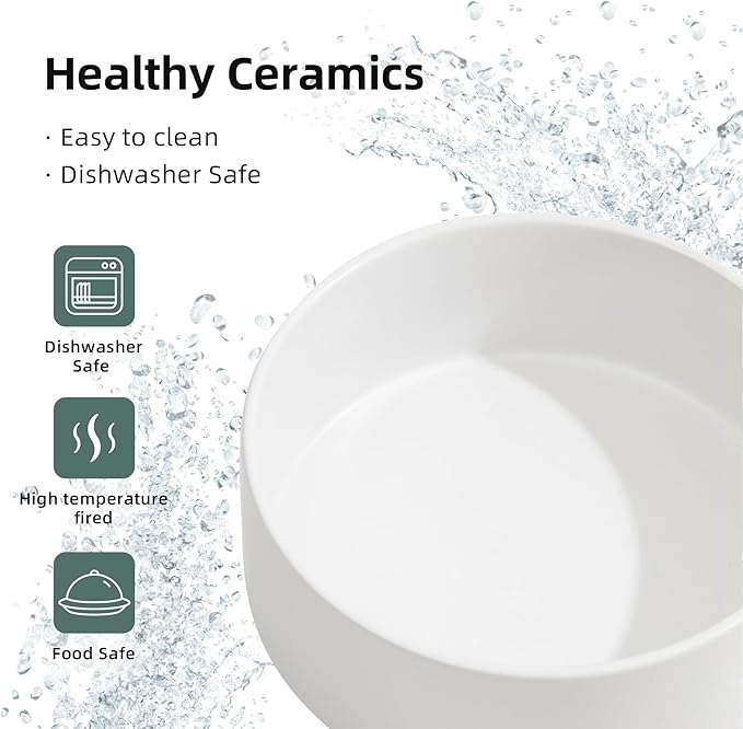 Ceramic Raised Double Bowls Set with Stand, 2 Heights Elevated, Food & Water Bowls for Small Breed Dogs, Cats, Kitty, Weighted Dog Dishes, Pet Bowls(5.1'',13.5oz, White)