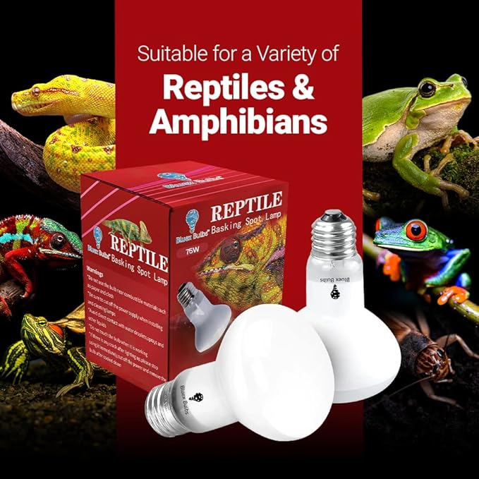 4 Pack 75-Watt Basking Light for Reptiles & Amphibians - Heat Lamp Bulbs for Glass Terrariums, Suitable for Bearded Dragons, Lizards, Iguanas - Broad Spectrum Reptile Basking Bulb