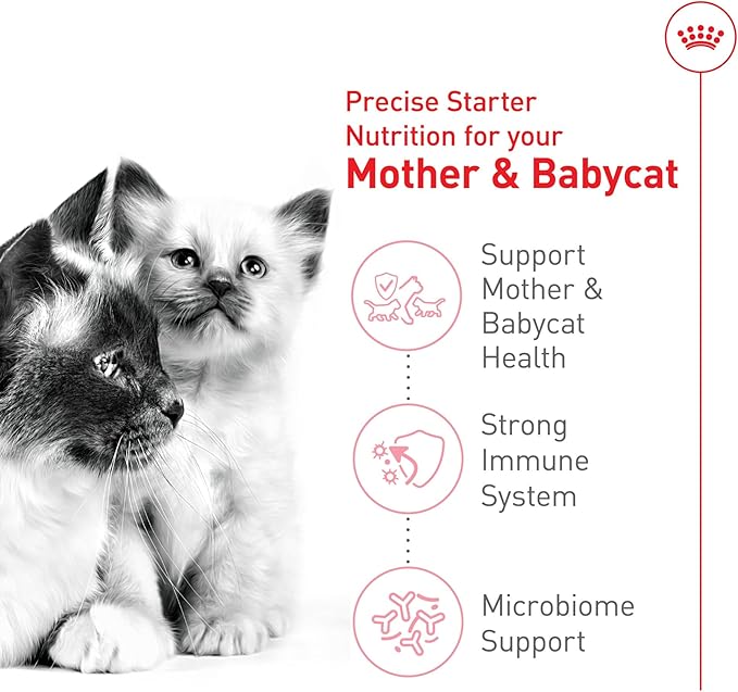 Royal Canin Feline Health Nutrition Mother & Babycat Dry Cat Food, 3 lb Bag
