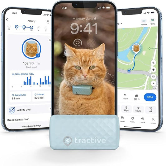 Tractive Smart Cat GPS Tracker | Real-Time Location & Wellness Monitoring for Cats 6.5 lbs+ | Territory & Location History | Up to 5-Day Battery | Breakaway Collar Included (Mint)