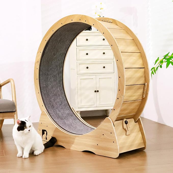 43 Inch Large Cat Exercise Wheel for Indoor Cats, Silent Treadmill, Non-Tip Design, Safe & Quiet Cat Running Wheel, Easy to Assemble, Supports Cats Up to 55 lbs (Natural Wood)