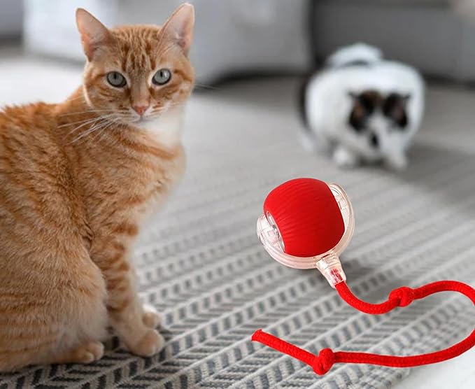 Interactive Rolling Cat Ball Toy [RED], LED Lights, for Indoor Adult Cats, Rechargeable, Smart Automatic Pet Ball, Speedy Tail/Rope, Fast on Carpet, Only for Active Cats