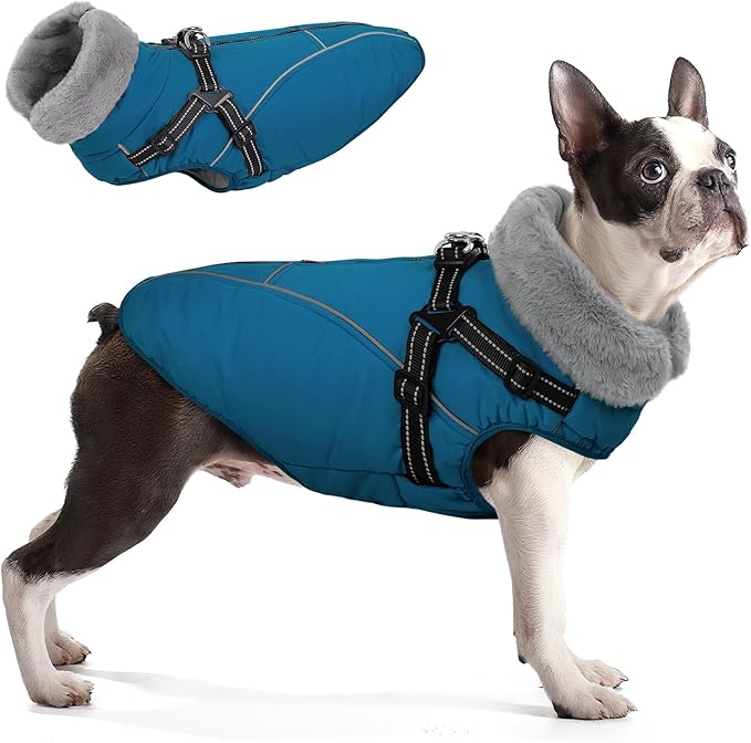 Queenmore Dog Coat with Harness Built in,Dog Winter Jackets for Large Dogs Boys Girls,Waterproof Dogs Snowsuits with Zipper On Back,Warm Fleece Lining Cold Weather Coats with Furry Collar,Blue,XL