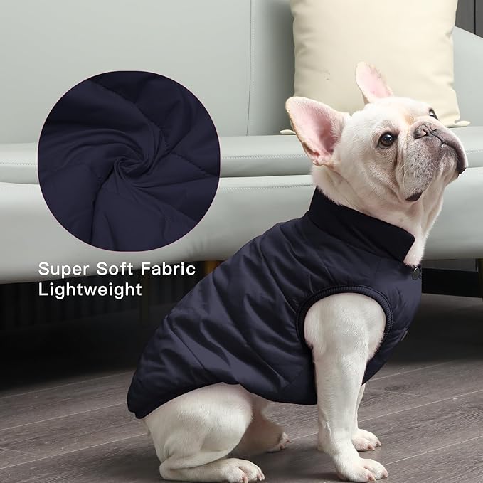 2 Layers Fleece Lined Warm Dog Jacket for Puppy Winter Cold Weather,Soft Windproof Small Dog Coat,Blue XS