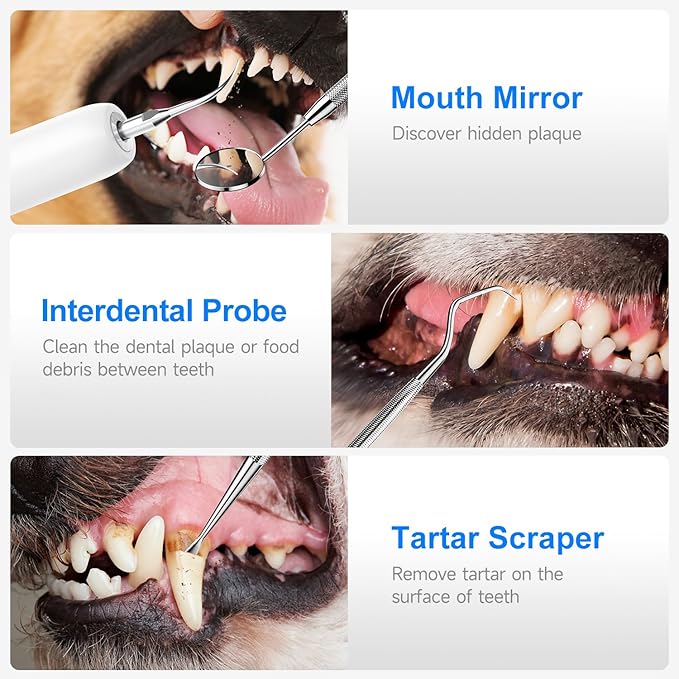 Electric Dog Plaque & Tartar Remover - Pet Teeth Cleaning Kit with 5 Adjustable Modes, LED Light, Safe and Low Noise – Easy at Home Dental Care for Dogs and Cats