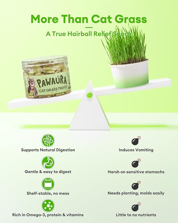 3.53oz Crunchy Cat Grass Treats for Hairball Control – Natural Chicken, Cat Grass & Catnip Biscuits, Low-Calorie Healthy Snacks for Indoor Cats, Digestive & Dental Care