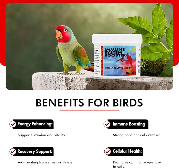 Morning Bird Immune System Booster 3 Oz - Energy Supplement for Birds – Natural Amino Acid Powder – Boosts Stamina, Cellular Health & Oxygen Use – Vitamin Powder for All Bird Species