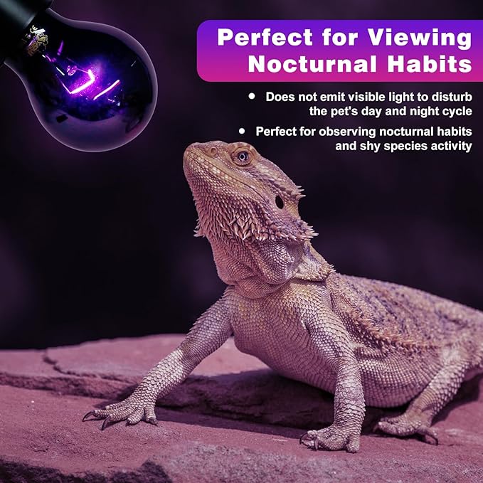 LUCKY HERP Reptile Heat Lamp 50W 2 Pack, Reptile Night Heat Bulb, Reptiles & Amphibians Basking Spot Light Bulb for Bearded Dragon, Lizard, Snake, Turtle, Chameleon