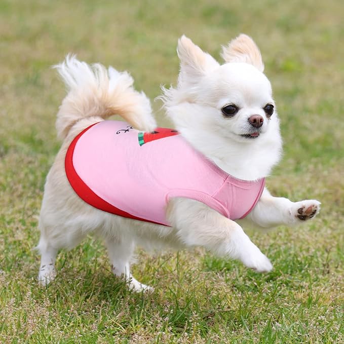 Reginary 8 Pieces Pet Shirts Summer Printed Puppy Dog Shirt Soft Pullover Cute Dog Sweatshirts Puppy Girl Female Clothes Outfits Small Doggie Cats(Cute Pattern,Size S)