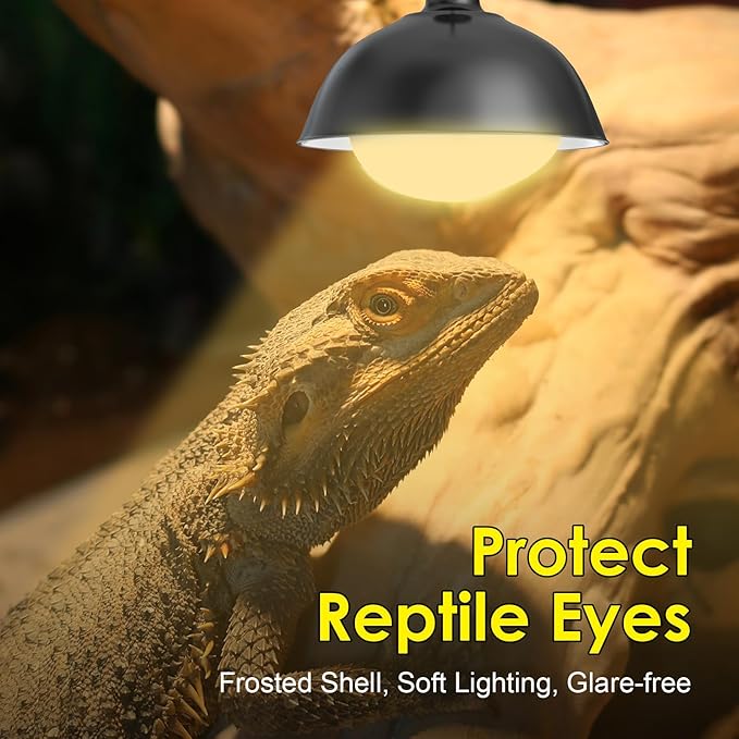 MIXJOY 2Pack 100W Reptile Heat Lamp Bulbs, Upgraded Golden Glass 60% Intense Heat Bulb UVA Daylight Basking Spot Light Bulb for Reptiles, Turtle, Lizard, Tortoise, Bearded Dragon, Gecko, Chicken