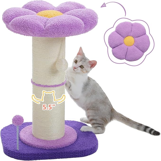PEQULTI Flower Cat Scratching Post, Small Cat Tree, Scratcher for Indoor Cats with Super Thick Scratching Post [Dia=5.5''], Removable Flower Bed, Cat Scratch Post with Spring Ball, Purple
