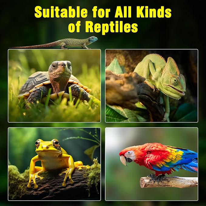 2Pack Reptile Heat Lamp Guard with 150W E26 Ceramic Lamp Holder,Anti Scald Mesh Cage Reptile Light Fixture with ON/Off Button for Reptile Lizard Snake Chick-Heat Bulb Not Included