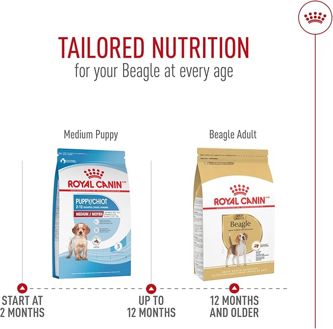 Royal Canin Beagle Adult Dry Dog Food, 30 lb bag