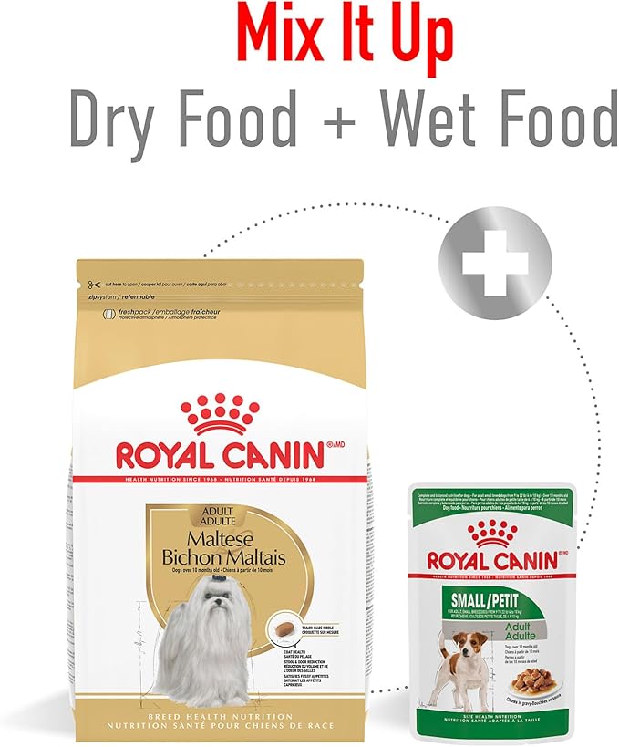 Royal Canin Maltese Adult Dry Dog Food, 10 lb bag