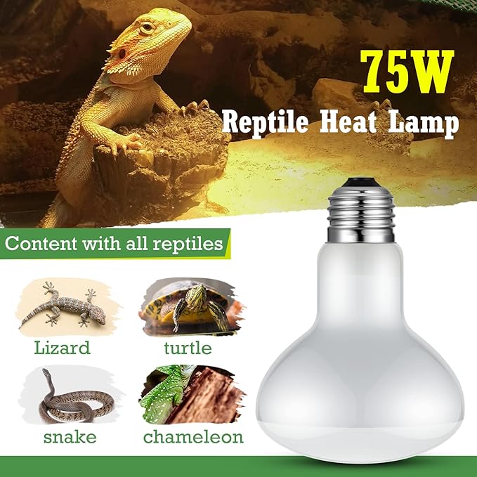 Tarpop 8 Pcs Reptile Heat Lamp Bulb, 75w Reptile Basking Heat Light Bulb Uva Daylight for Bearded Dragon, Amphibian, Turtle, Lizard, Chicken