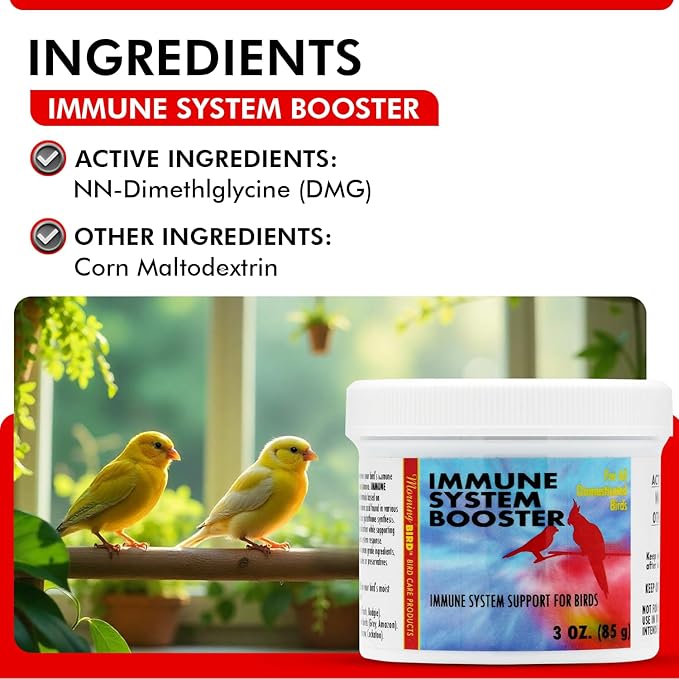 Morning Bird Immune System Booster 3 Oz - Energy Supplement for Birds – Natural Amino Acid Powder – Boosts Stamina, Cellular Health & Oxygen Use – Vitamin Powder for All Bird Species