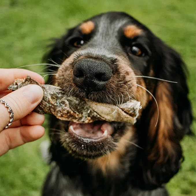SKIPPER'S Cod Fish Skin Twists Dog Chews - 100% Fish Skin Grain Free Treats for Dogs, High in Protein & Low in Fat, Essential Omega 3 Oils | Great for Teeth (Regular, 8.82 Oz)