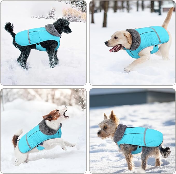 Doglay Dog Coat, Waterproof Dog Jacket Pet Winter Coat for Cold Weather with Thicken Furry Collar, Reflective Puppy Winter Jacket Warm Fleece Lining for Small Medium Large Pets