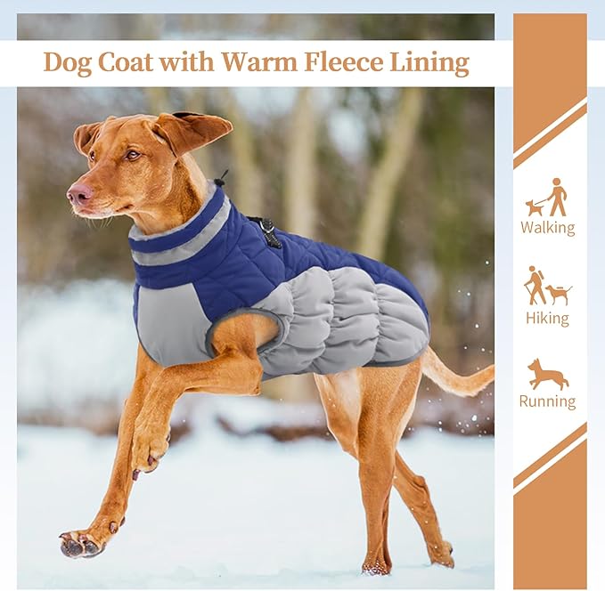 Large Dog Coat, XXLarge Dog Winter Coat, Waterproof Pet Jacket with Back Zipper,Extra Large Pet Coats, Warm Fleece Jacket with D-Ring, Windproof Winter Clothes Golden Retriever,Blue,XXL