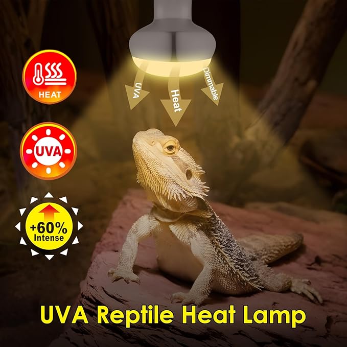 MIXJOY 2Pack 100W Reptile Heat Lamp Bulbs, Upgraded Golden Glass 60% Intense Heat Bulb UVA Daylight Basking Spot Light Bulb for Reptiles, Turtle, Lizard, Tortoise, Bearded Dragon, Gecko, Chicken