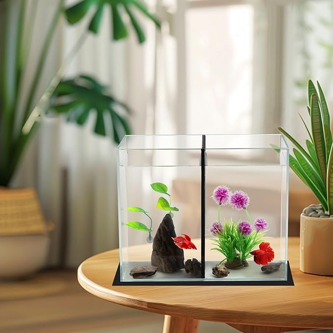 5 Gallon Betta Fish Tank with Divider, Small Aquarium, Fits 2 Bettas, 2.5 Gallon *2 Rooms.(Divider not Removable)