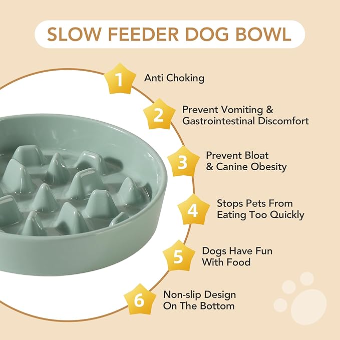Ceramic 9.5 inch Dog Bowl Slow Feeder, Slow Pet Food Dish for Large Dog, Stop Bloat, Preventing Choking(Single Bowl,Light Green)