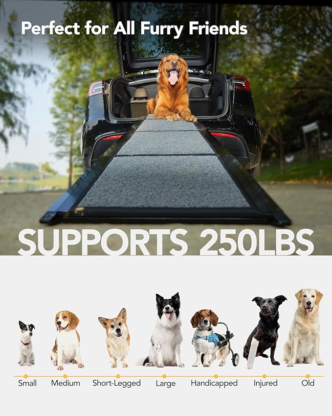 Upgraded Dog Ramp for Car 63" Long & 19.7" Wider Portable Dog Ramps for Large Dogs with Non-Slip Rug Surface for SUV Car & Truck, Up to 250LBS