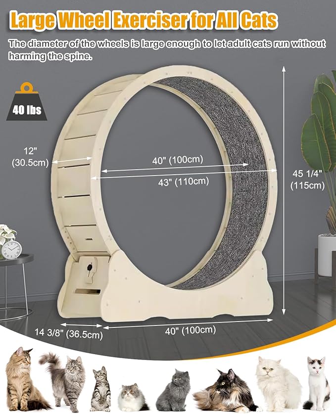 Large Cat Exercise Wheel 46 inch - Natural Solid Wood Kitten Wheel Exerciser for Indoor Cats, Safety Cat Treadmill with Lock & Minimized Gap Design
