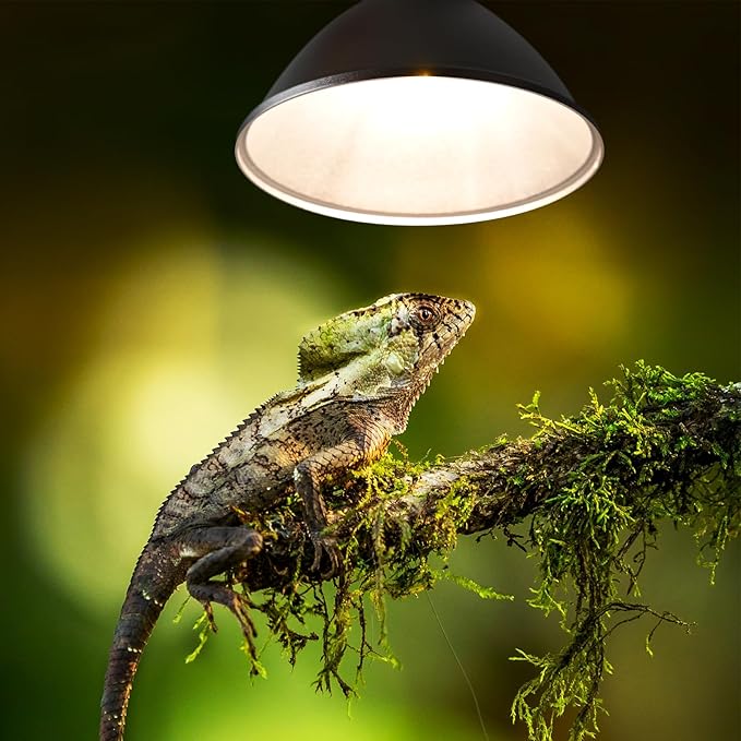 Reptile Heat Lamp Fixture 50W,Dome Reptile Light Fixture with 5PCS Halogen Heat Bulb,G9 UVA Basking Lamp E26 Lamp Socket for Turtle,Gecko,Lizard,Snake,Tortoise,Bearded Dragon,Frog