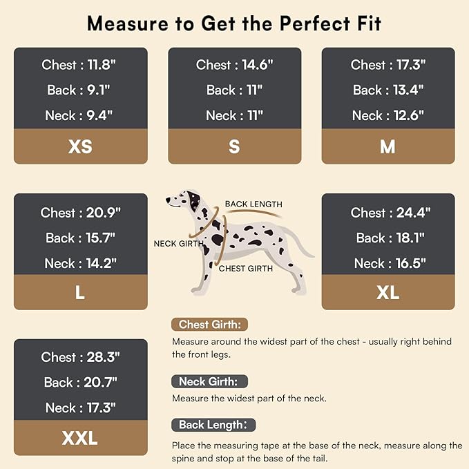 Queenmore Small Dog Pullover Sweater, Cold Weather Cable Knitwear, Classic Turtleneck Thick Warm Clothes for Chihuahua, Bulldog, Dachshund, Pug (White, Small)