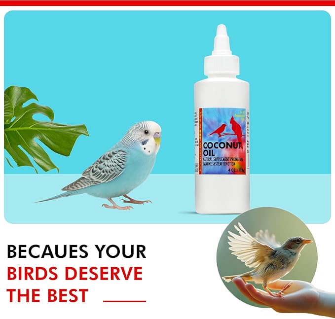 Morning Bird Coconut Oil for Birds 4 oz – Supports Immunity & Digestion – Boosts Energy & Feather Health – Easy to Mix with Food Pure Cold Pressed Formula – Safe for All Bird Life Stages