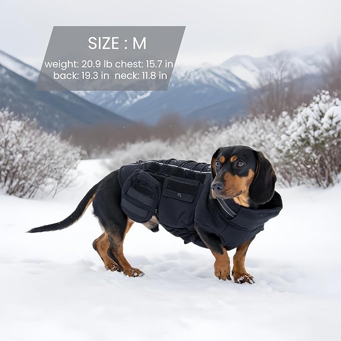 Dora Bridal Dog Winter Coat with Harness Built in, Warm Windproof Reflective Dogs Jacket for Large Dogs, Pet Vest with Molle Panels and 3 Pouches for Male Dog