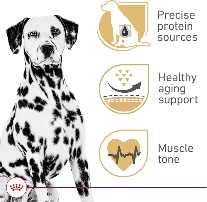 Royal Canin Dalmatian Adult Dry Dog Food, 30 lb bag