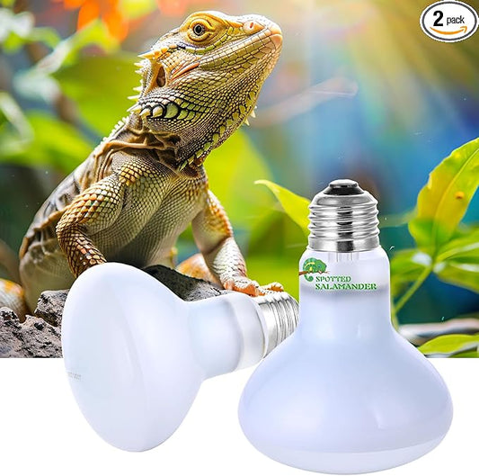 Reptile Heat Lamp Used in Reptiles 75W 100W Heat Lamp Bulbs for Reptiles 2 Pack Amphibians Basking Heat Lamp Bulbs UVA Daylight Basking Light (100Watts)