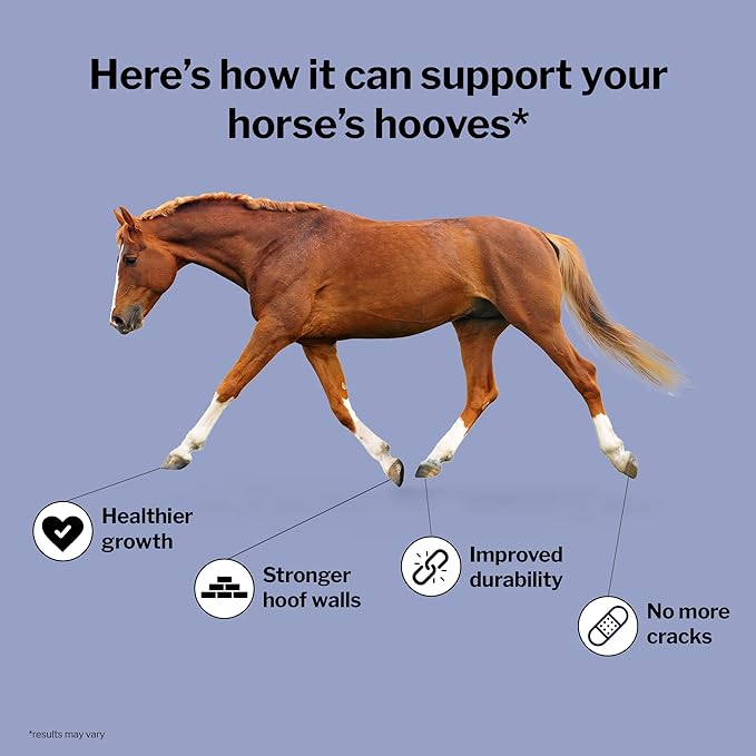Formula 707 Hoof Health Equine Supplement, 2.5lb Jar – Biotin, Amino Acids, and Minerals to Improve and Support Healthy Horse Hooves