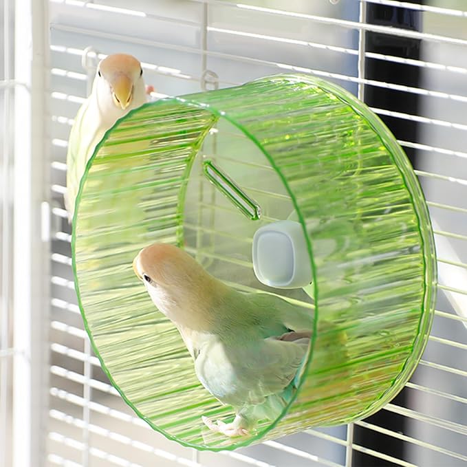 6.8-inch Parrot Silent Running Wheel, Parrot Exercise Wheel, Birds, Parrots, Turtles, Hamsters, Small Animal Quiet Running Wheel (Green)