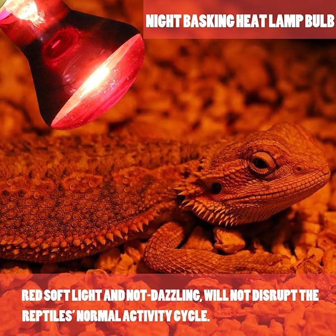 Reptile Heat Lamp Bulb 100 Watt, Day Time & Night Basking Spot Light Combo Pack, Amphibians Infrared Red Heat Light Bulb and Daylight Heating Lamp for Bearded Dragon, Leopard Gecko, Chicken, 4 Pack
