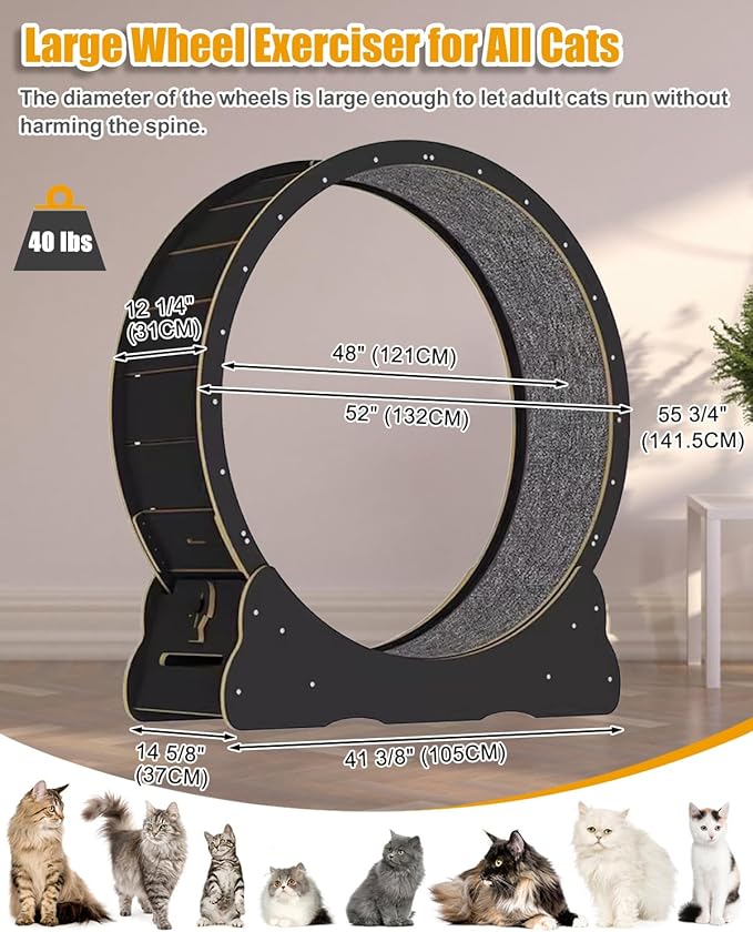 Large Cat Exercise Wheel 56 Inch - Black Solid Wood Exerciser for Indoor Cats, Safety Treadmill with Lock & Minimized Gap Design