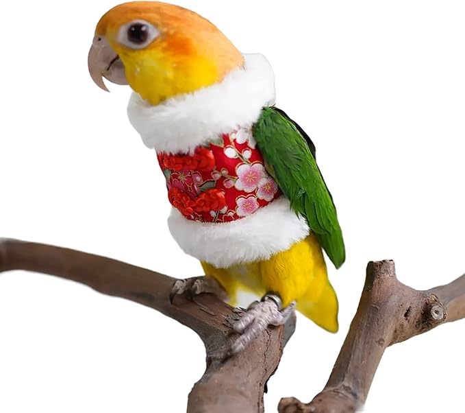 Bird Costume Flight Suit Clothes Cosplay Photo Prop for Parrots Parakeet Cockatiel Sun Conure, Hoodie Small Animals Apparel (Red, Large), Green (BPF1)
