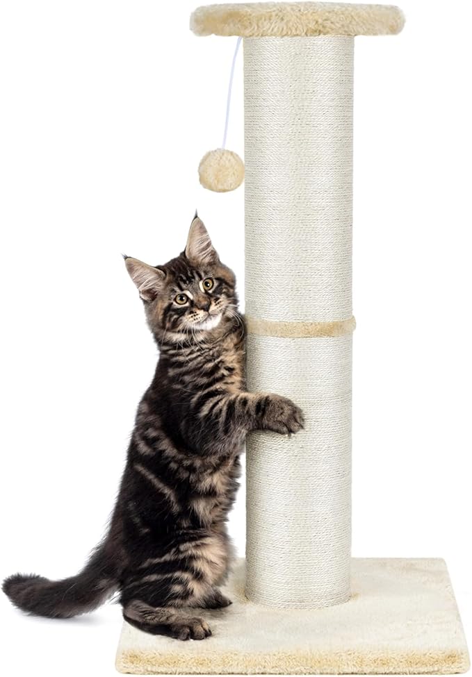 PAWSCRAT Cat Scratching Post 32" Tall, Large Diameter Natural Sisal Cat Scratch Post with Dangling Ball, Scratch-Resistant and Durable Tall Cat Scratcher for Indoor Cats, Protect Your Furniture, Beige