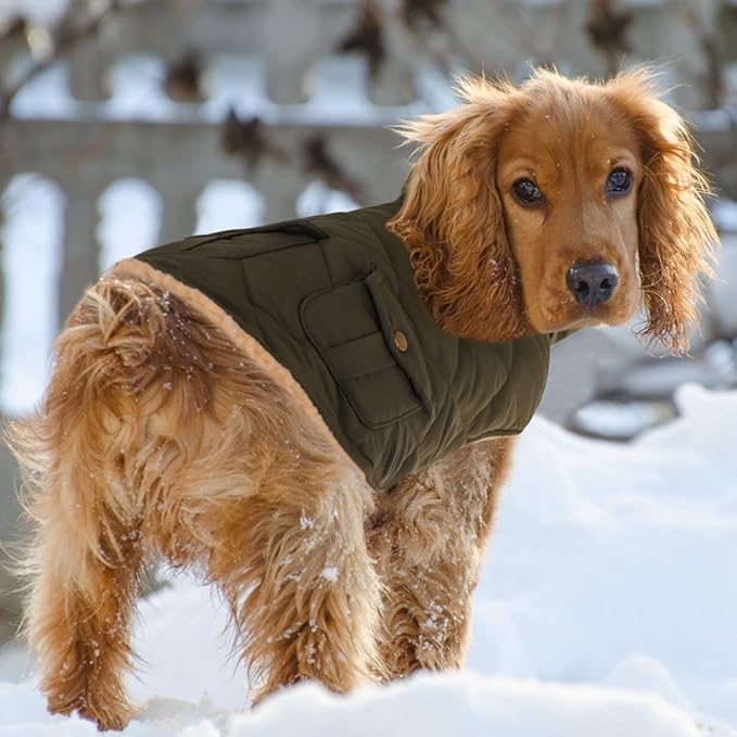Queenmore Warm Dog Coat, Cold Weather Puffer Dog Coat, Quilting Winter Dog Jacket Ultra Thick Plush Lining with Storage Pockets (Green, X-Small)