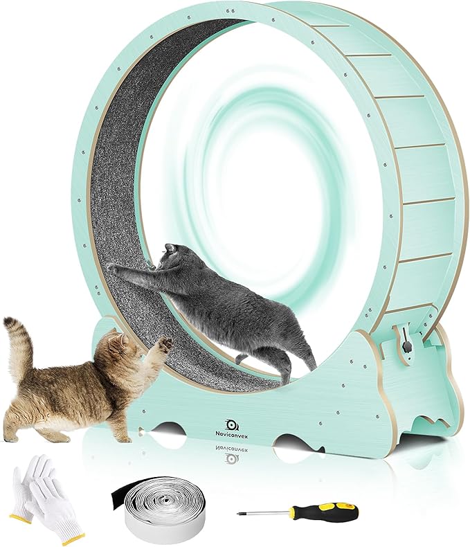 Cat Wheel, 48" XL Large Cats Exercise Running Wheel, Cat Treadmill for Indoor Cats, Green