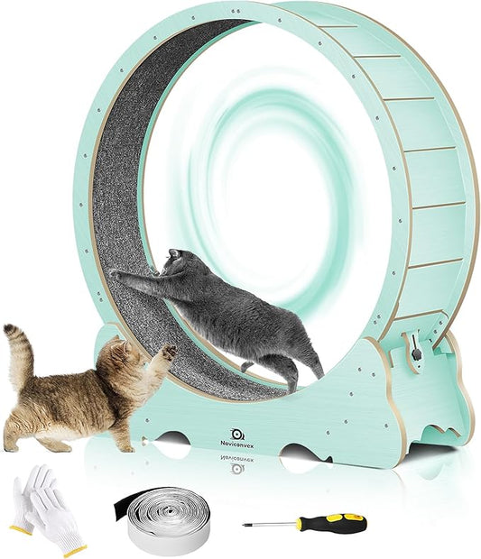 Cat Wheel, 48" XL Large Cats Exercise Running Wheel, Cat Treadmill for Indoor Cats, Green