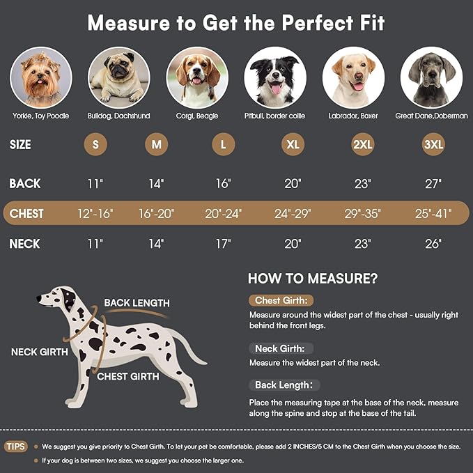 Queenmore Winter Dog Coat Warm Dog Jacket Vest Waterproof Puffer Fleece Snowsuit Adjustable Buckle Leash Hole Reflective Cold Weather Parka for Small Medium Large Dogs Girl Boy Orange XXL