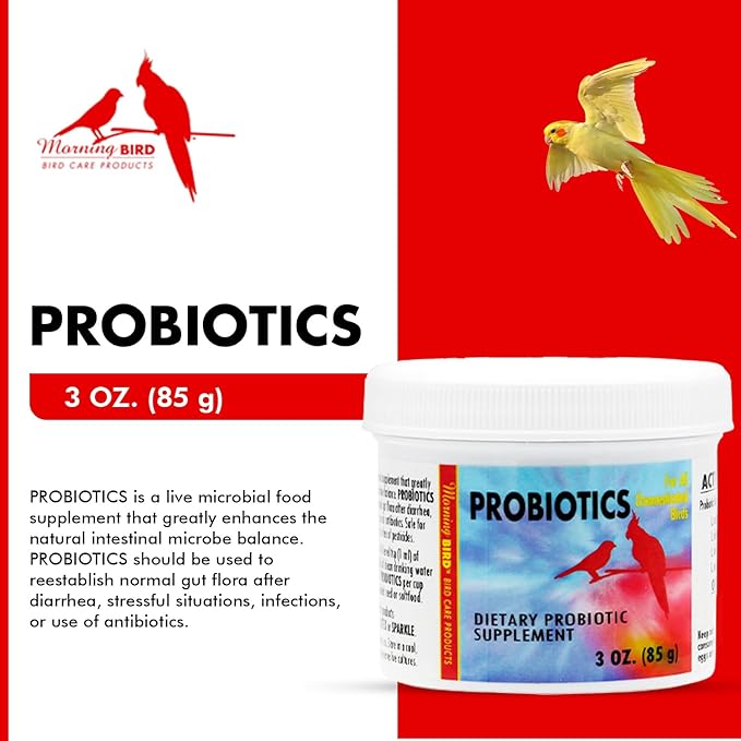 Morning Bird Probiotics for Birds 3 oz– Digestive Health Supplement with Supports Gut Balance, Nutrient Absorption & Immune Support – Easy Mix Powder Supplement for All Bird Species