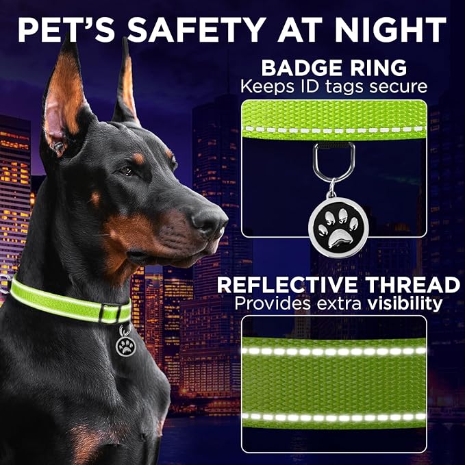 TECEUM Reflective Dog Collar – Acid Green – XL – Extra Soft Padding – Basic Nylon Pet Collar – Quick Release Buckle – Fits Small, Medium and Large Dogs, Puppies, Cats – ESA & Service Dog Options