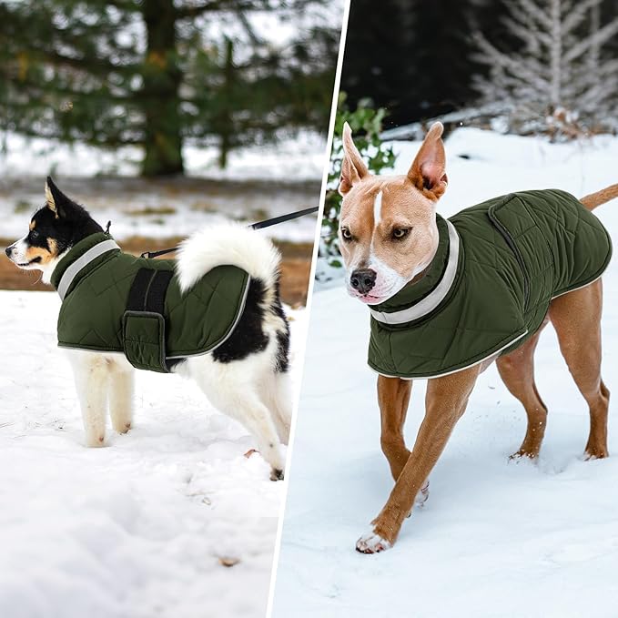 Dog Winter Coat Warm Padded Puppy Jacket Windproof Water Resistant Clothes for Small Medium Large Pets Christmas Sweater Outfit Vest(Green, XS)