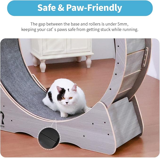 43 Inch Large Cat Exercise Wheel for Indoor Cats, Silent Treadmill, Non-Tip Design, Safe & Quiet Cat Running Wheel, Easy to Assemble, Supports Cats Up to 55 lbs (Grey)