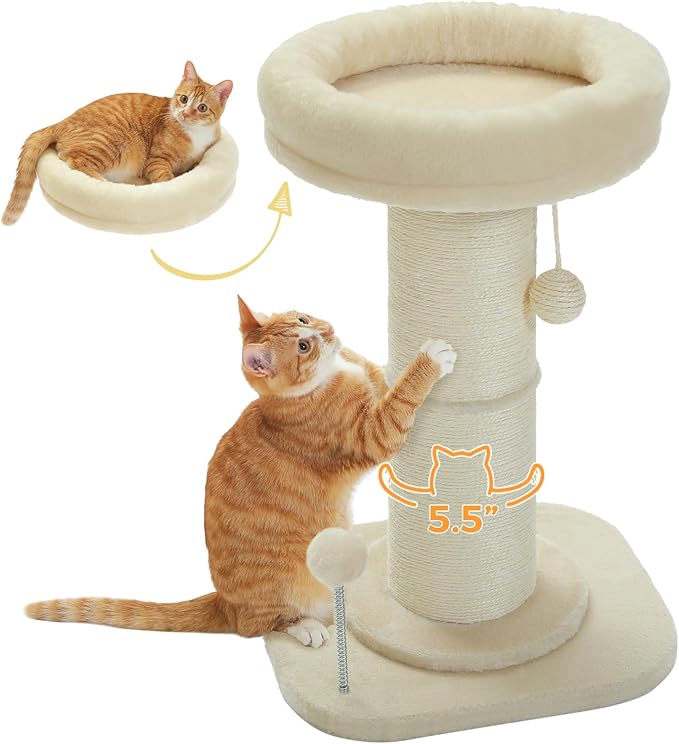 PEQULTI Cat Scratching Post, Tall Cat Scratcher for Indoor Cats with Super Thick Scratching Post [Dia=5.5''], Removable Fluffy Cat Bed, Scratch Post with Spring Ball, Beige